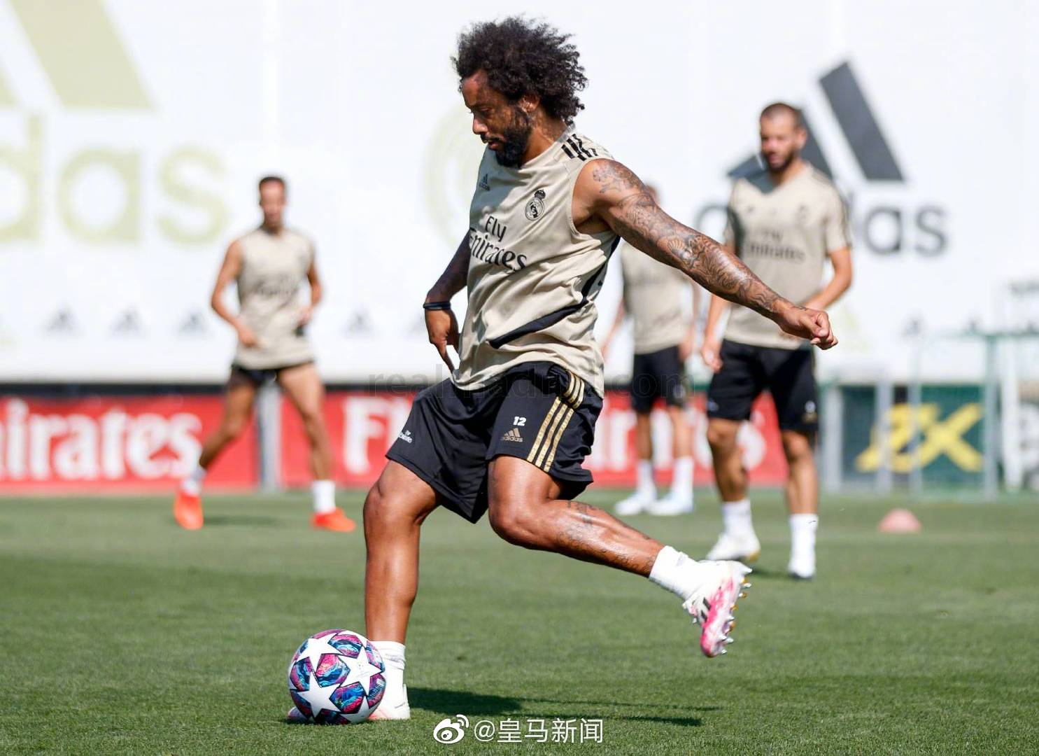 华尔基尼亚斯宣布新援加盟，全队备战能力增强