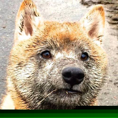 欧冠决赛焦点战，老鹰节奏掌控马刺，战术博弈中的唯一性胜利